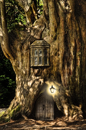 Fairytale fantasy house in tree trunk in forestの写真素材