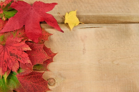 Colorful Autumn Fall leaves on rustic grunge wooden background