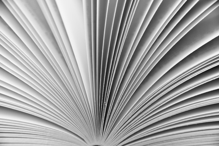 Background pattern of pages in a bookの写真素材