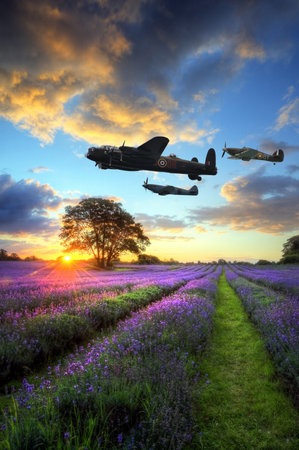 Beautiful image of stunning sunset with atmospheric clouds and sky over vibrant ripe lavender fields in English countryside landscape with World War 2 RAF airplanes flying overheadのeditorial素材