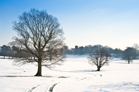 Countryside landscape across rural setting with Winter snow on ground and bright blue sky background