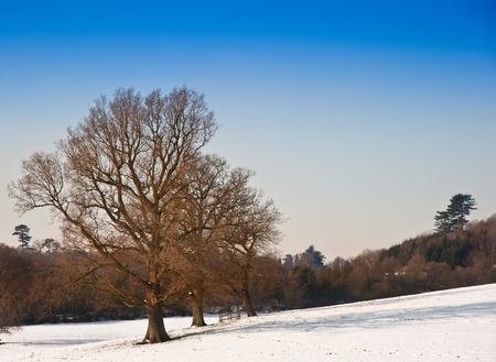 Countryside landscape across rural setting with Winter snow on ground and bright blue sky background