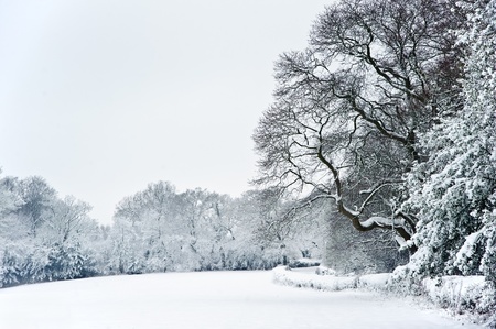 Winter snow landscape in English countryside