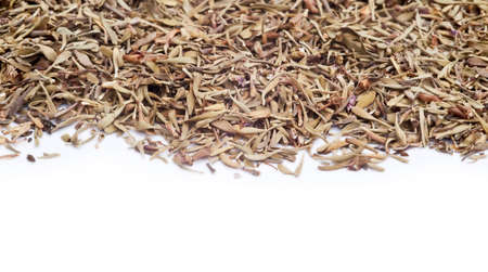 Thyme on white background with copyspaceの写真素材
