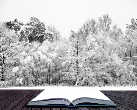 Beautiful landscape of glistening frost and snow covered trees coming out of pages in magical bookの写真素材