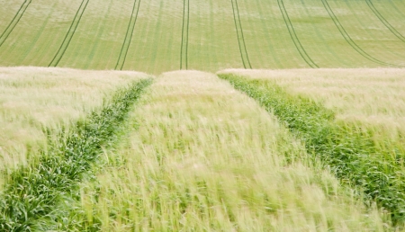 View along tractor lines in ploughed farm field on windy Summer day landscapeの写真素材