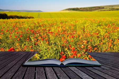 Creative composite image of Summer landscape in pages of magic bookの写真素材