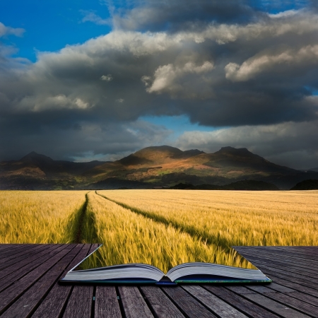 Creative concept image of landscape of mountain range with corn field in foreground in pages of bookの写真素材
