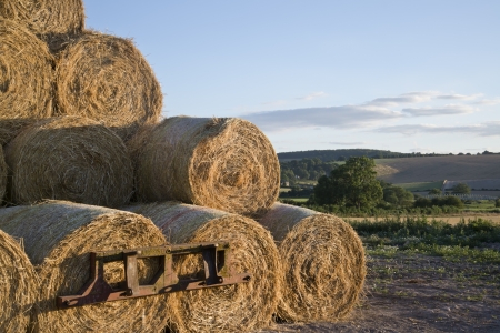 Countryside Summer landscape of hay bales and fields