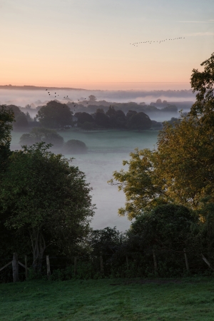 Foogy Autumn landscape over agricultural fields with layers of fogの写真素材