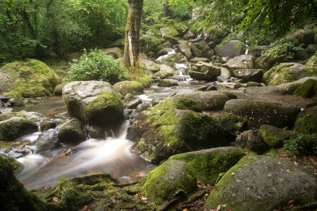 Becky Falls waterfall landscape in Dartmoor National Park Englandの写真素材
