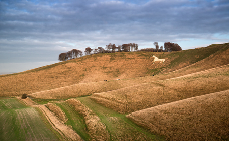 Beauitful landscape of ancient chalk white horse in hill at Cherhill in Wiltshire England during Autumn eveningの写真素材