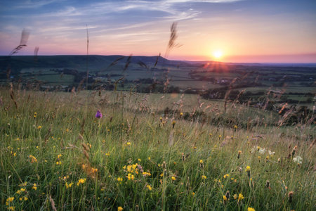 English countryside landscape in Summer sunset lightの写真素材