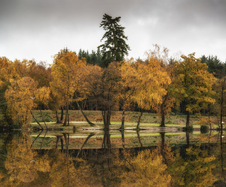 Stunning vibrant Autumn woodland reflected in still lake water landscapeの写真素材