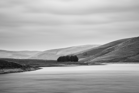 Black and white landscape of lake surrounded with trees on islandの写真素材