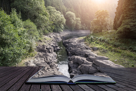 Beautiful morning landscape image of sunlight through trees into canyon creek below conceptual book imageの写真素材