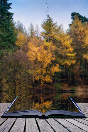 Stunning vibrant Autumn woodland reflected in still lake water landscape conceptual book imageの写真素材