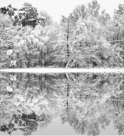 Beautiful landscape of glistening frost and snow covered trees reflected in frozen lakeの写真素材