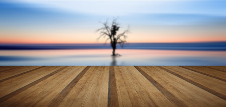Conceptual fine art image of tree reflected in still waters with wooden planks floorの写真素材