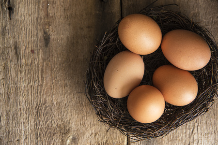 Fresh eggs in birds nest in vintage style moody natural lighting set up