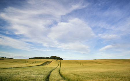 Summer landscape over agricultural farm fields of cropsの写真素材