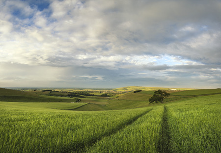 Stunning panorama landscape South Downs countryside in Summerの写真素材