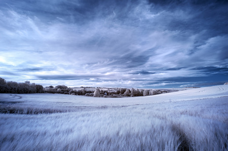 Surreal false color infrared Summer landscape over agricultural fieldsの写真素材