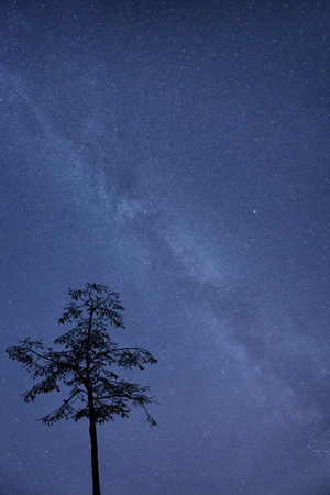 Milky Way galaxy image of night sky with natural silhouettesの写真素材