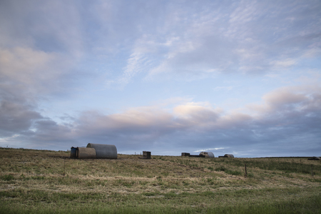 Pig farming on South Downs in Sussex countryside landscapeの写真素材