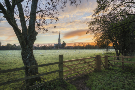 Winter sunrise landscape Salisbury cathedral city in Englandの写真素材