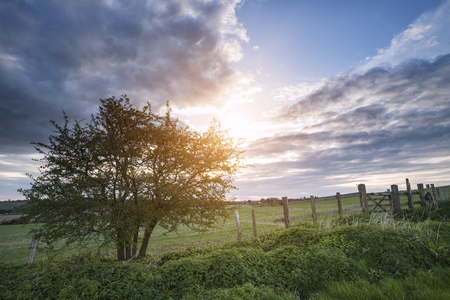 Stunning English countryside landscape over fields at sunsetの写真素材