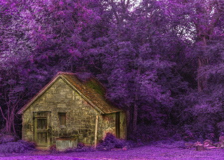 Autumn forest scene with vibrant colours and old stone cabin and conceptual color changeの写真素材