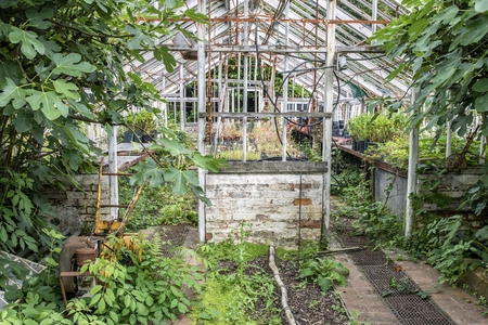 Beautiful old Victorian era greenhouse left ro ruin in old English gardenの写真素材