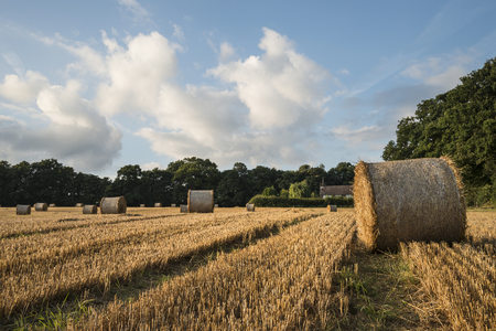 Beautiful landscape image of hay bales in Summer field during colorful sunsetの写真素材