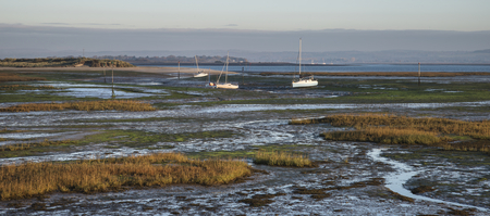 Boats in low tide mudflats of empty harbor at sunrise 