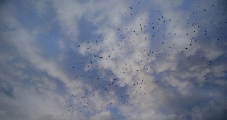 Pixelated effect abstract nature sky backgroundの写真素材