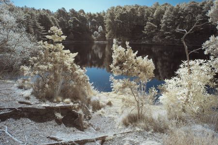 Beautiful unusual surreal infrared landscape image of lake and surrounding forestの写真素材