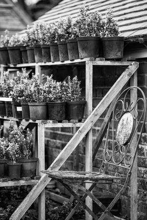 Beautiful vintage potting shed exterior detail in English countryside gardenの写真素材