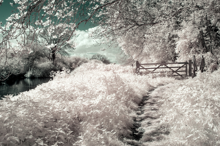 Surreal alternative colour infrared English countryside landscape