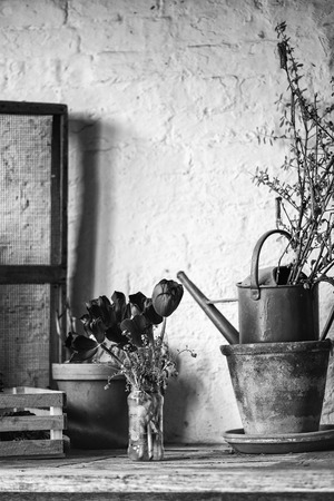 Beautiful vintage English countryside garden potting shed interior detailの写真素材