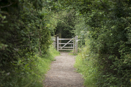 Shallow depth of field landscape image of tree covered footpath leading to distant gateの写真素材