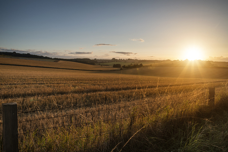 Freshly harvested fields of barley in countryside landscape in late Summer sunset lightの写真素材
