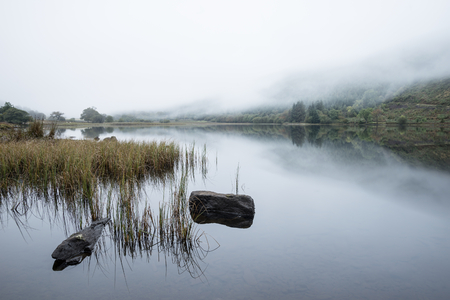 Landscape of Llyn Crafnant during foggy morning in Snowdonia National Parkの写真素材