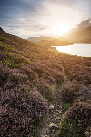 Stunning sunrise landscape over Cregennen Lakes with Cadair Idris in background in Snowdoniaの写真素材