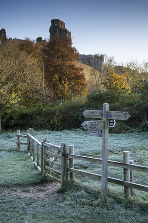 Stunning Medieval castle ruins on hill in foggy frosty Winter landscape imageの写真素材