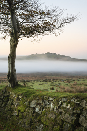 Stunning foggy sunrise landscape over the tors in Dartmoor revealing peaks through the mistの写真素材