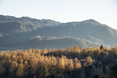 Stunning Autumn Fall landscape image of the view from Catbells in the Lake District with vibrant...