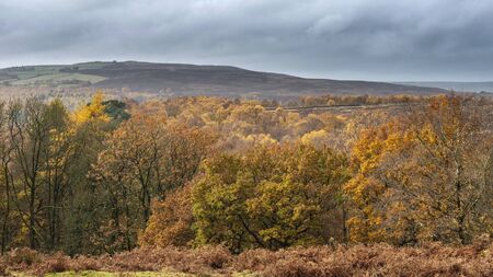 Landscape view from Owler Tor in Peak District in Enlgand during Autumn Fallの写真素材