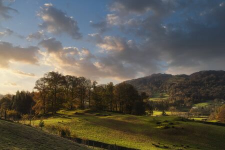 Beautiful Autumn Fall landscape of woodland in early morning light over English countryside