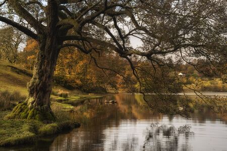 Stunning Autumn Fall landscape of lake in sunrise soft light in English countryside